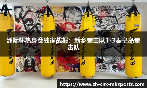 洲际杯热身赛独家战报:新乡拳击队1-3秦皇岛拳击队